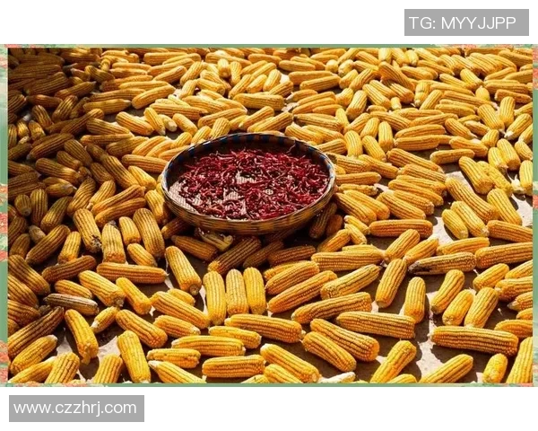 五谷丰登与农耕文化的传承探索：从稻麦豆薯到现代农业的变革与挑战