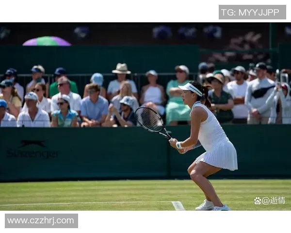 北京网球队表现优异最新网球状态TOP10榜单揭晓