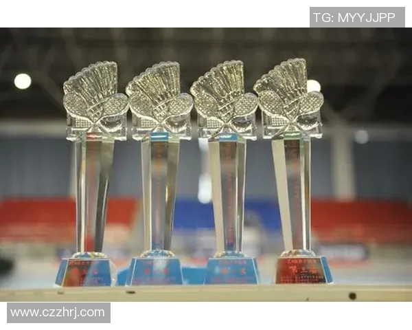 武汉羽毛球队耐力训练的深度分析与提升策略探讨