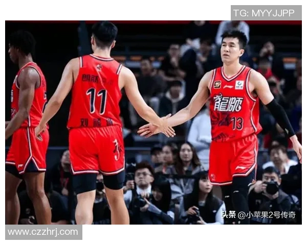 目前cba球队总数及各队基本情况